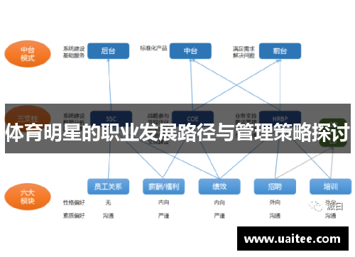 体育明星的职业发展路径与管理策略探讨