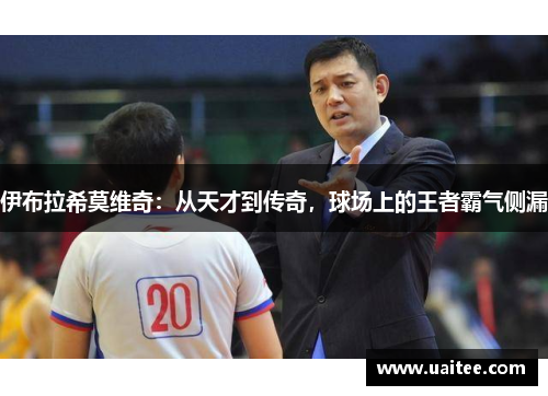 伊布拉希莫维奇:从天才到传奇,球场上的王者霸气侧漏